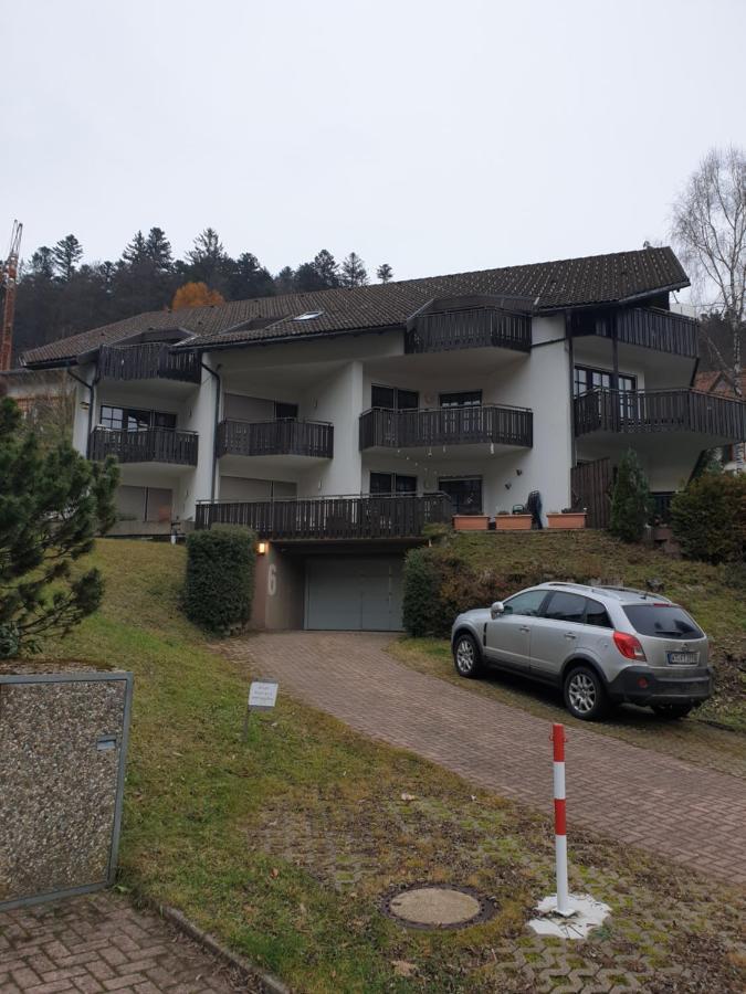Gemuetliche Evieline In Apartment Todtmoos